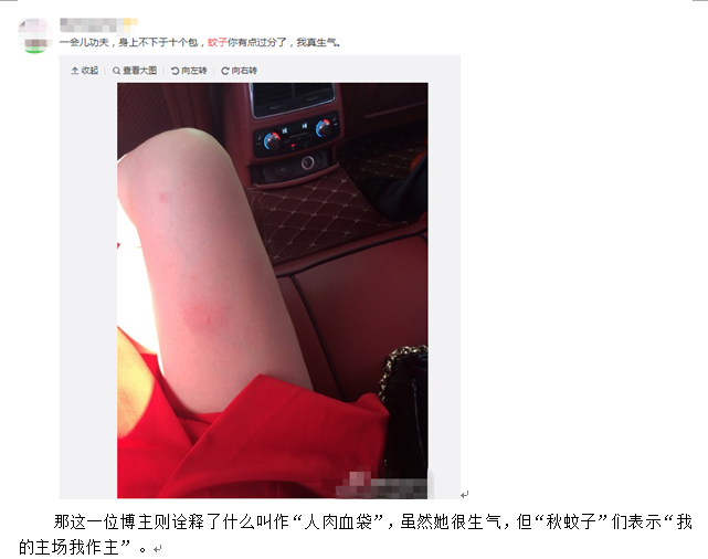 QQ截图20151014154103.png