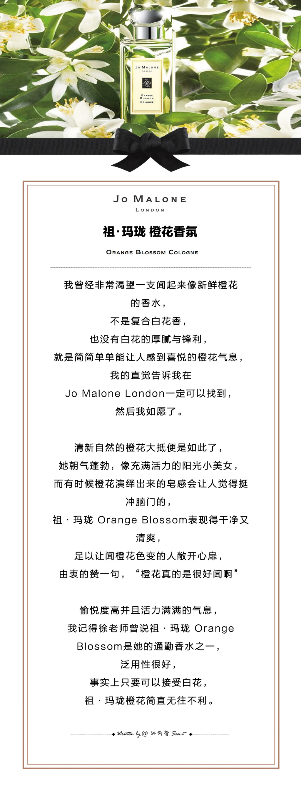 适合春夏使用的的6支Jo Malone London祖·玛珑香水