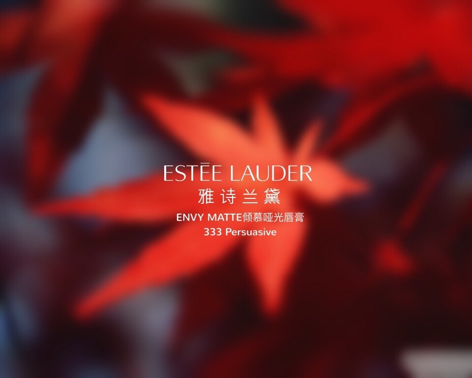 雅诗兰黛 | 倾慕哑光唇膏333 干枫叶色试色