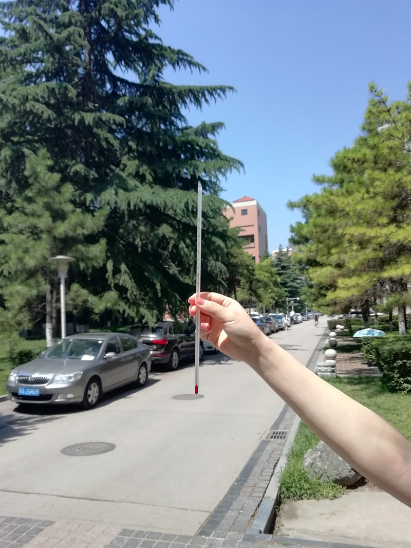 我就是这么容易满足的一个人(*^▽^*)