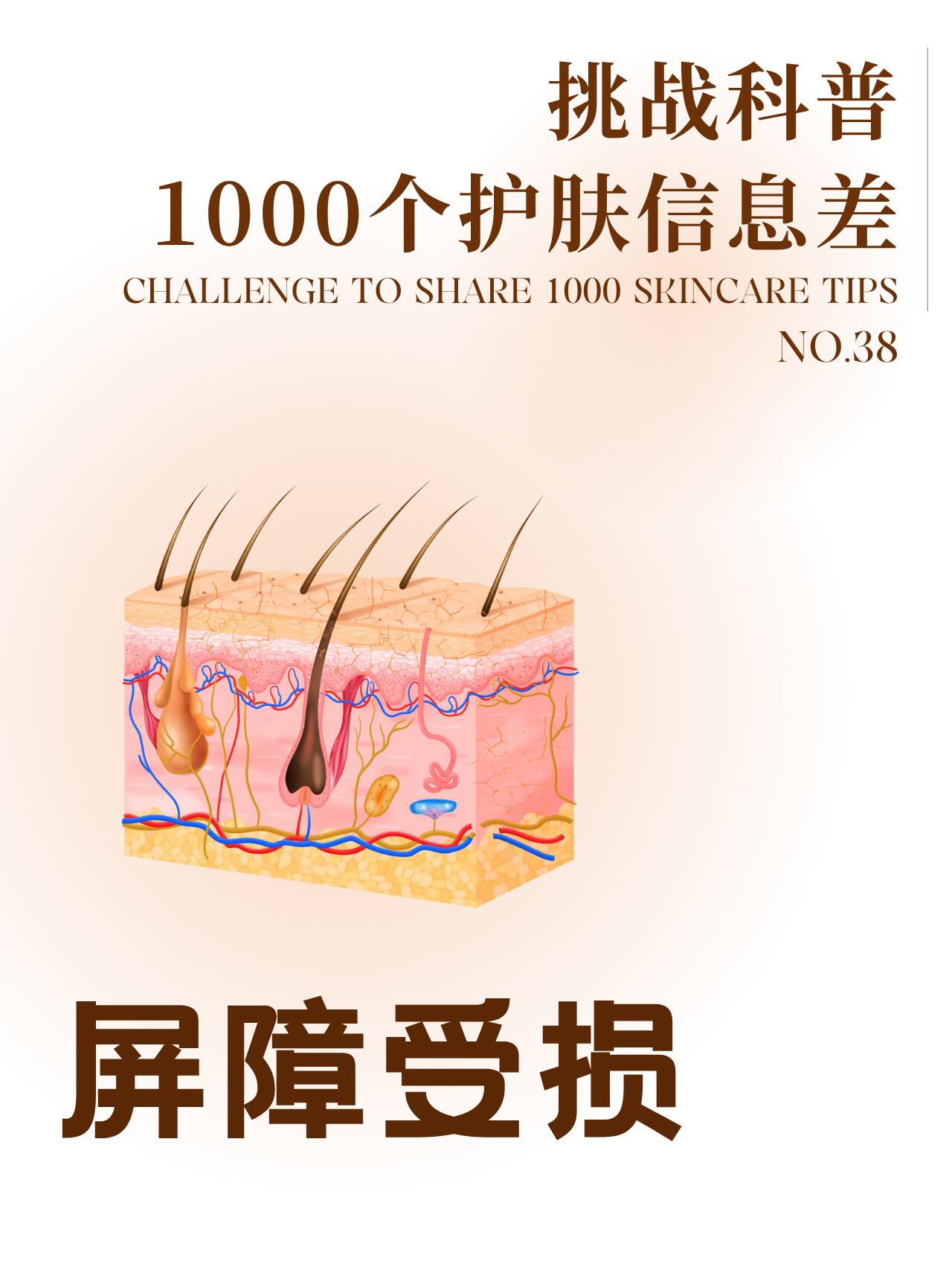 皮肤屏障受损怎样修复